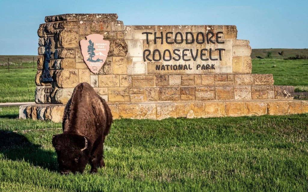 Outdoor Recreation in 2025: How We Can Adapt